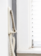 Perch + Coiled Cable